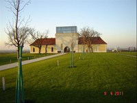 51_resized