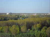 48_resized