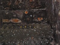 43_resized