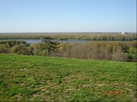 39_resized